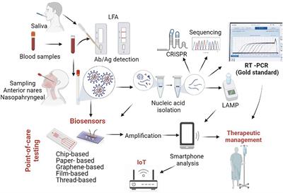 Frontiers | Advances In The Rapid Diagnostic Of Viral Respiratory Tract ...